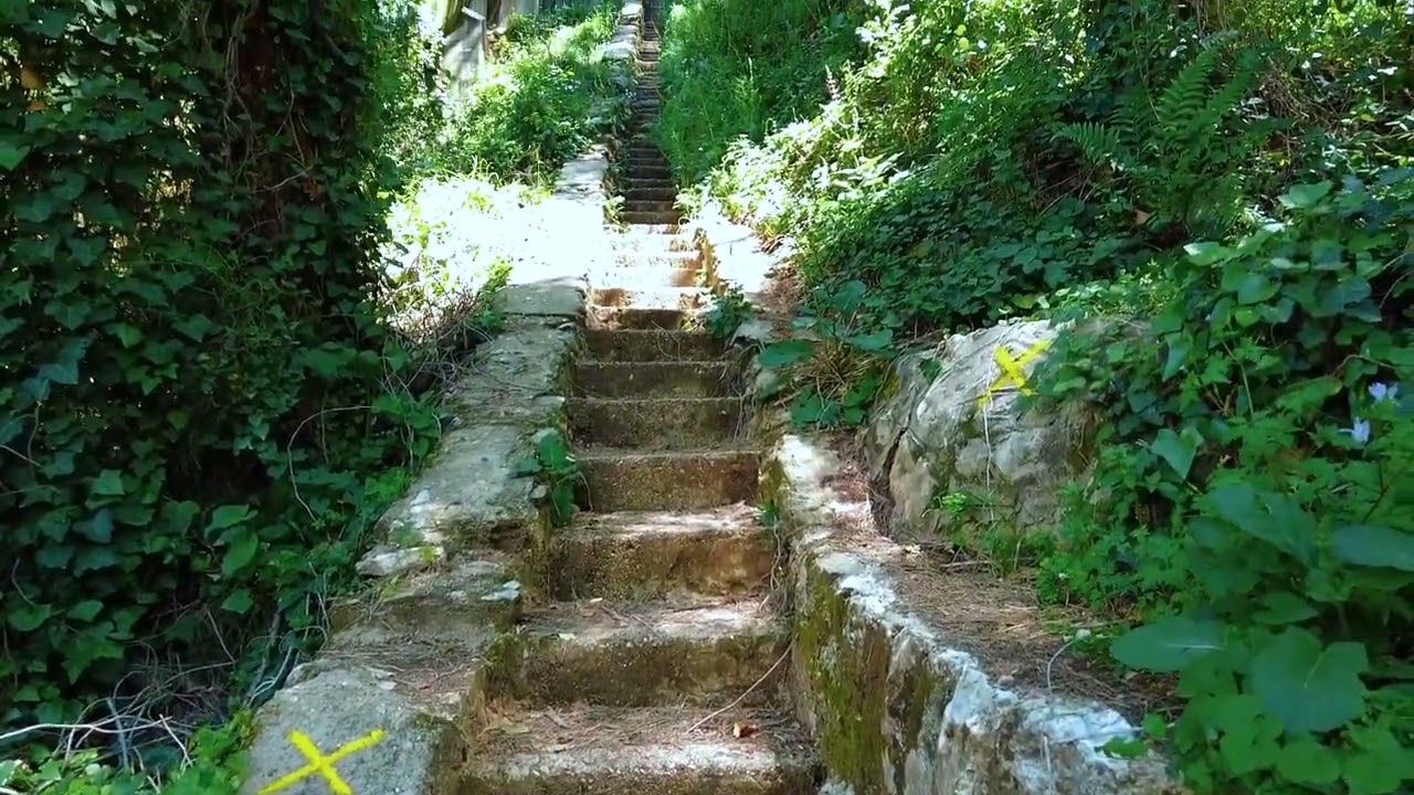 Lebanon hike Kaftoun Nahr el jawz,  Boxmaya hiking trail, Randonnée Liban كفتون ونهر الجوز وبوكسمايا