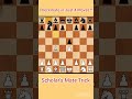 CHECKMATE in 4 Moves!! Scholar's Mate♟️