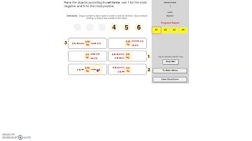 Net Force Ranking Task video example