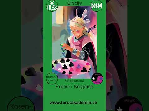 Page i B&auml;gare
