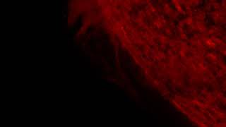 AIA 304 (2018-02-03 17:00:29 - 2018-02-04 17:11:53 UTC)