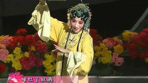 Thumbnail of Ancient Chinese Kunqu-Opera ---  "The Dream in Visiting the Garden"