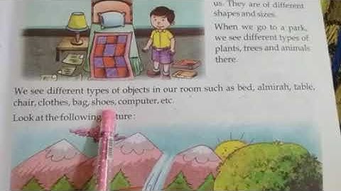 CLASS II EVS CHAPTER 1 OUR SURROUNDINGS PART 1