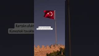 Cennet Vatan Ürkiye