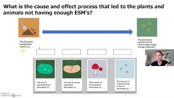 Matter and Energy in Ecosystems: Lesson 6 Part 3