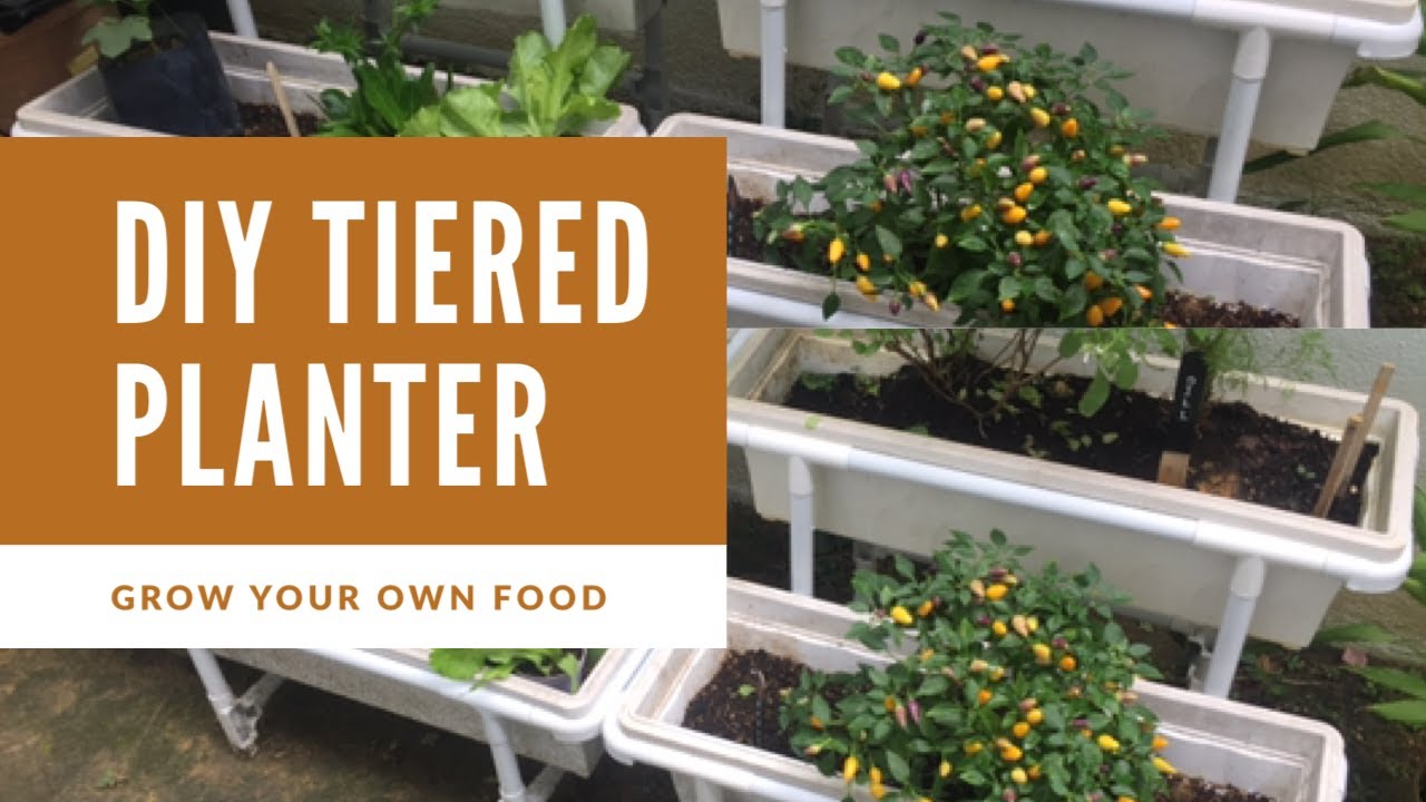 DIY Tiered Planter Grow your own foods YouTube