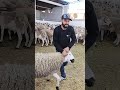 الخير مجود تبارك الله الغليظة والرقيقة اكسبلور الصخيرات عيد الاضحى بيع وشراء الفلاحة 
