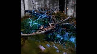 The Source 001 (NFT) Animation