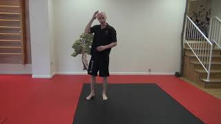 Back Roll to Standing  | Ed Paget