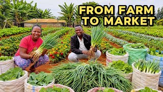 From Farm to Market! 🌱 Unbelievable Harvest of Spring Onions & Collards | African Village Life