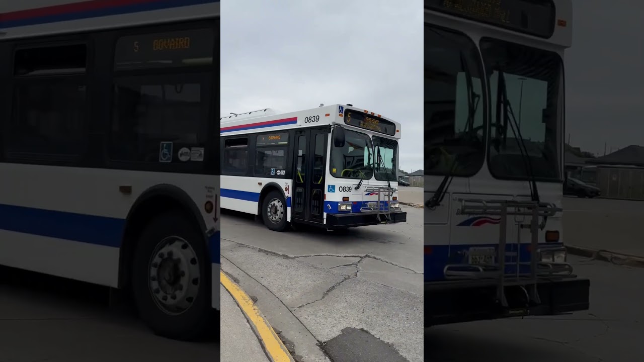 Brampton transit 0807 and 0839 