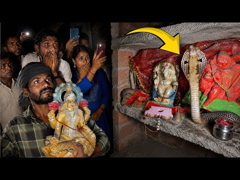 ये कारनामा कैमरे में कैद हो गया, नहीं तो यकीन नहीं होता!😱 Cobra Snake Rescue Operation in Village