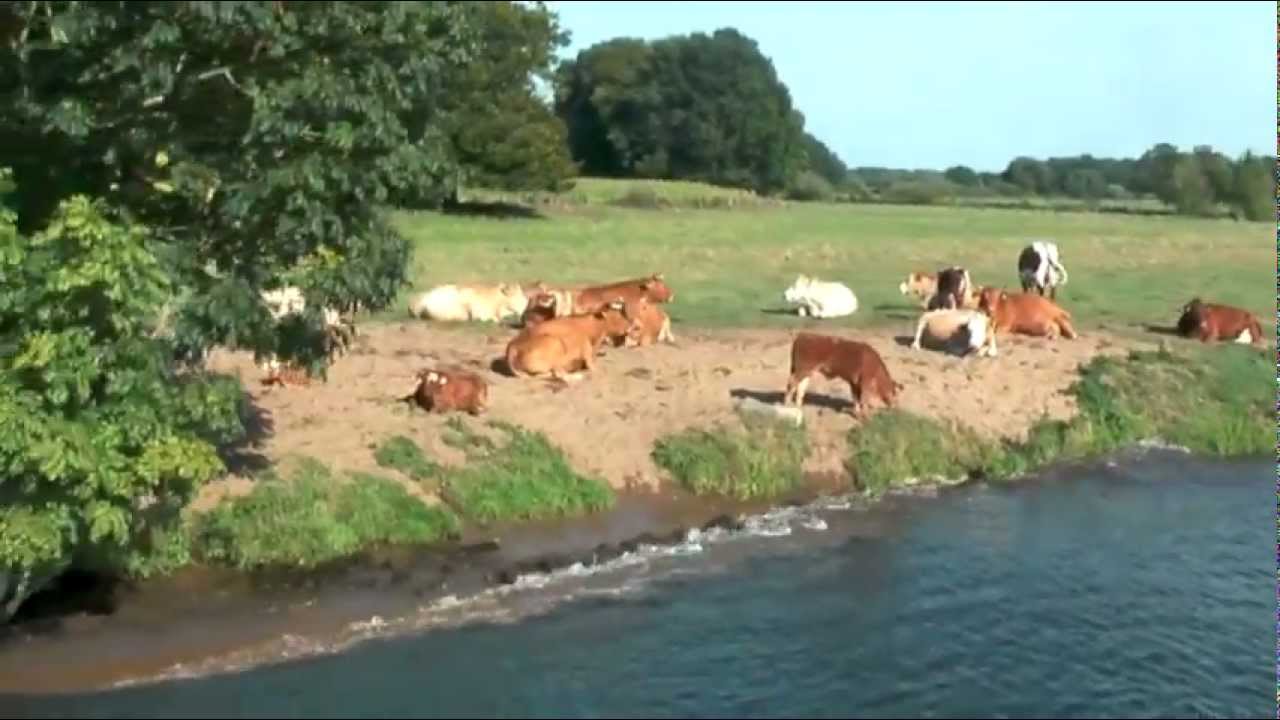 Auf der Ems: Lingen - Listrup - Lingen