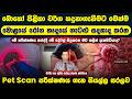 බොහෝ පිළිකා හදුනාගැනීමට මෙන්ම මොලයේ රෝග, හෘදයේ ගැටළු සදහාද සිදුකරන Pet Scan පරීක්ෂණය ගැන සියල්ල සරලව