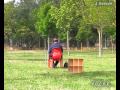 XVII CAMPEONATO DE ESPAÑA DE CANTO DE PAJAROS SILVESTRES LOGROÑO 2010.avi