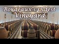 How Wine is Made at Bordeaux&#39;s Oldest Vineyard