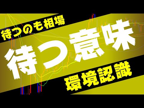#海外FX為替【待つ意味。大事な事です。】環境認識(倍速再生推奨)