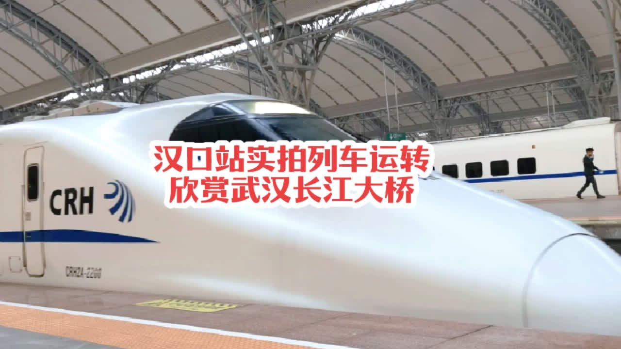 #火车迷爱好者 汉口站实拍列车运转记录，欣赏万里长江第一桥武汉长江大桥#火车视频 #铁路摄影 #高铁🚅 #随拍