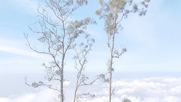 KS(4) - Using SPSS Syntax in SPSS Syntax Editor