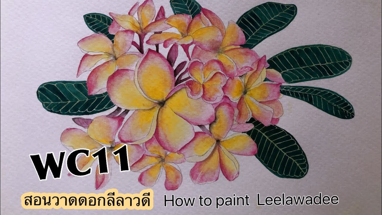 Plumeria water color วาดดอกลีลาวดีสีน้ำ by nunny