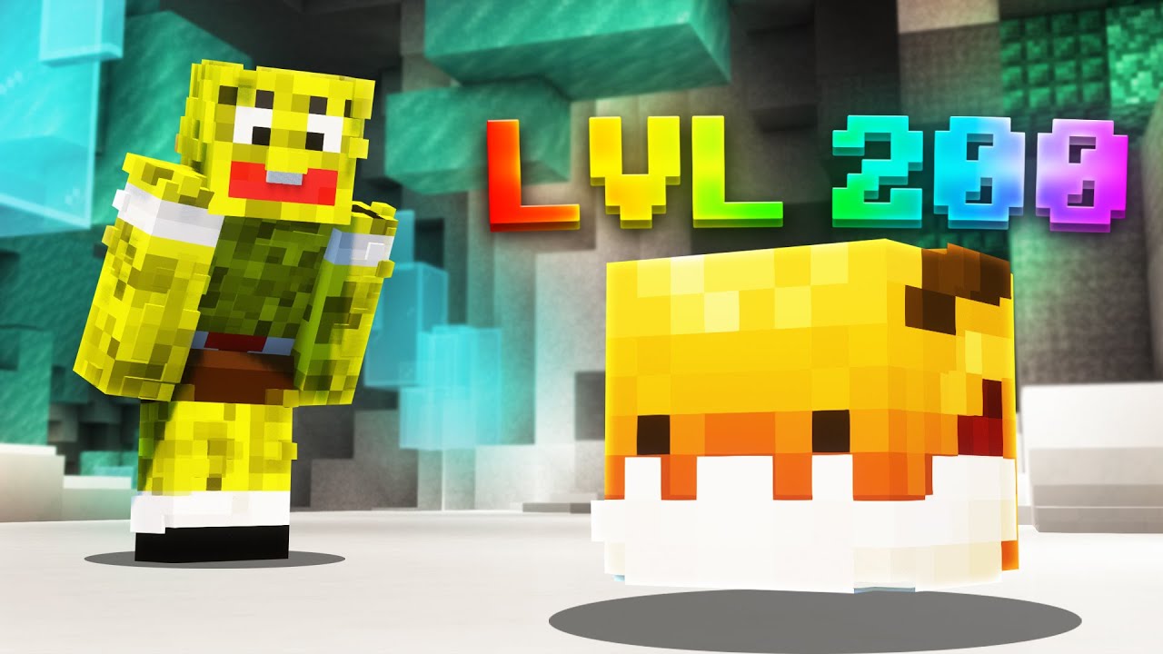 WE SPENT 300 HOURS TO MAX OUT THIS PET IN HYPIXEL SKYBLOCK!