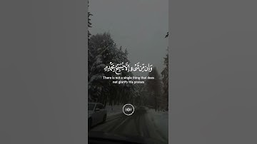 تسبح له السماوات السبع والأرض ومن فيهن وإن من شيء إلا يسبح بحمده | سورة الإسراء |القارئ هزاع البلوشي