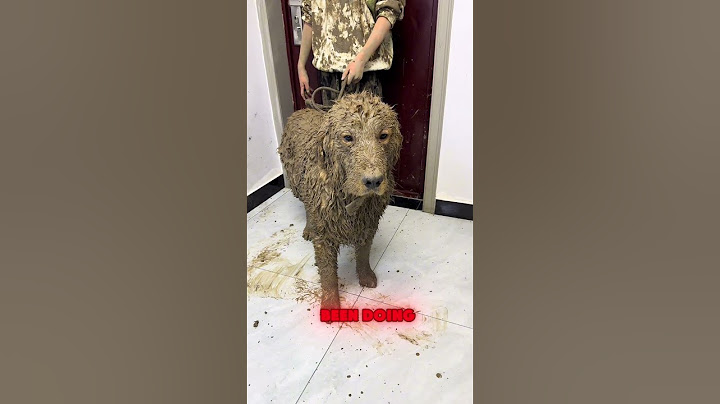 Hahaha, two people covered in mud from head to toe. 😂