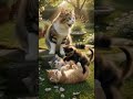 Cute Kittens Playing with Mother Cat in Garden 🌿🐱 | Adorable Kitten Moments