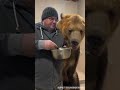 Cute Baby to Powerful Animal Transformation 😍🔥”