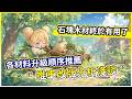 【杖劍傳說】小推車改版分析淺談 各材料升級順序推薦 石塊木材終於有用了!【微笑】
