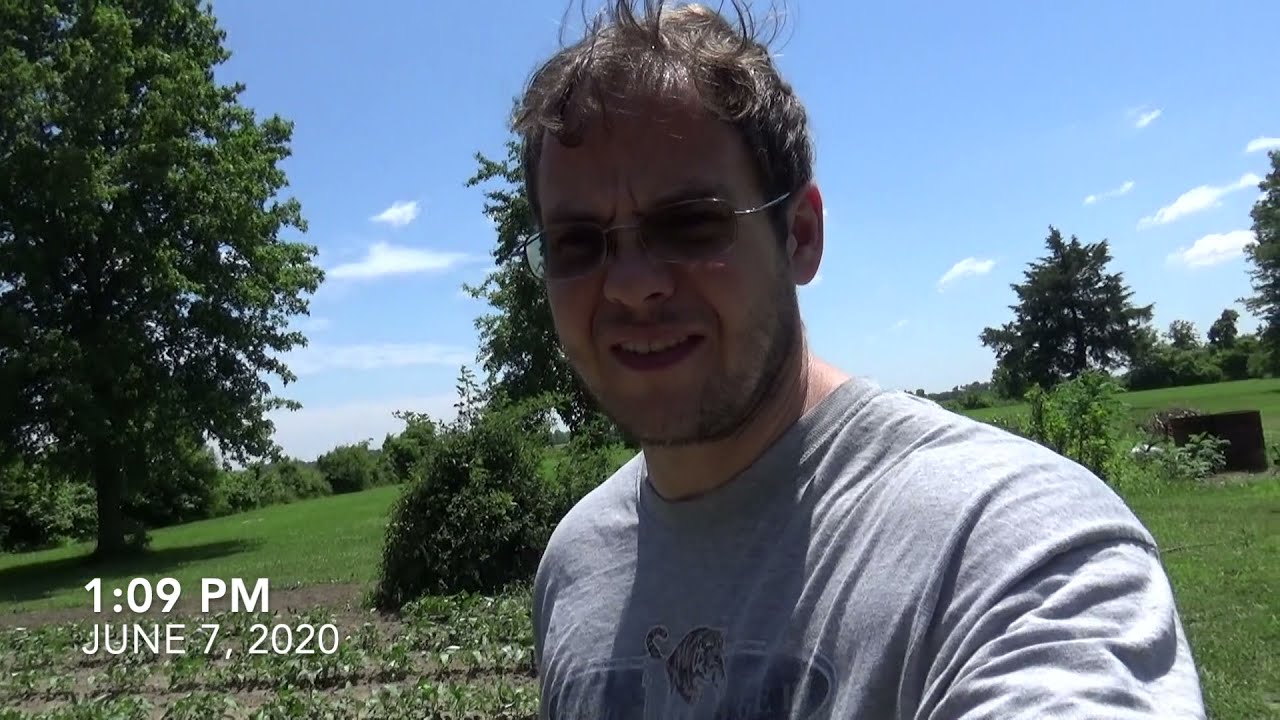 Great and Terrible Gardening s1e19