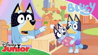 Fioletowe gatki? | Blue | Disney Junior Polska