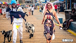 𝗚𝗢𝗔𝗧 𝗘𝗡𝗧𝗢𝗨𝗥𝗔𝗚𝗘: Rapper Lil Litty Brings Five Pet Goats to Santa Monica Pier