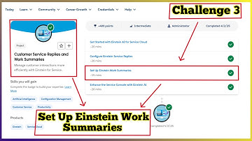 Set Up Einstein Work Summaries | Customer Service Replies and Work Summaries | Challenge 3