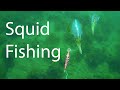 Squid Fishing Melbourne Port Phillip Bay Techniques to use a Egi jig Salmon