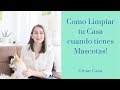 Como Limpiar tu Casa Cuando Tienes Mascotas! | Clean Casa