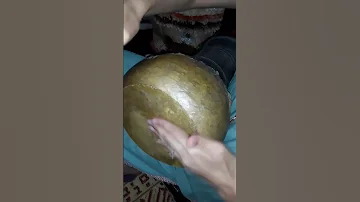 دربوكة ولا بندير 