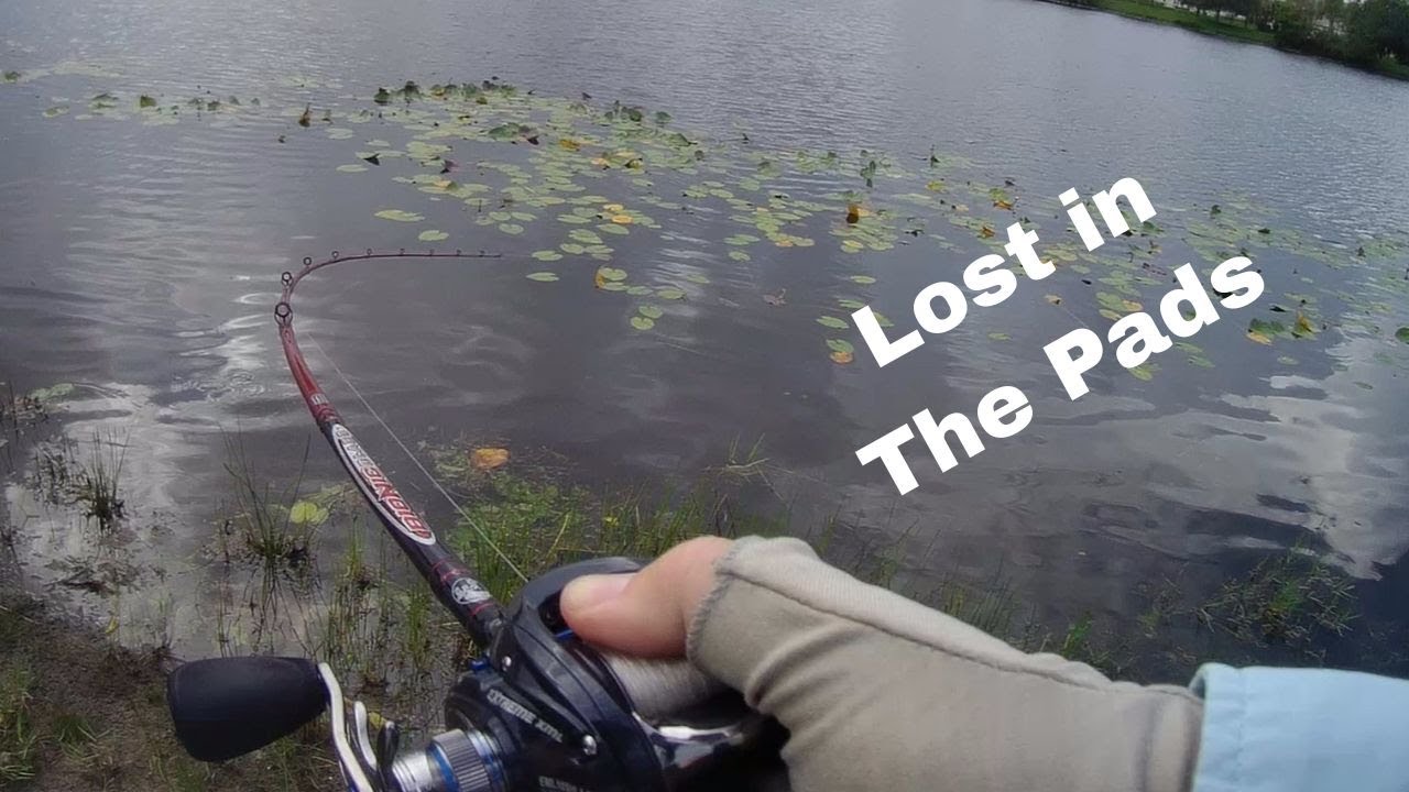 Lost in the pads Bass fishing Port Saint Lucie Florida