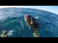 Spearfishing French Polynesia 2min At Makemo Spearfishing French Polynesia 2min At Makemo