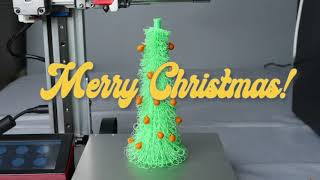 Merry Christmas, Best Wishes
