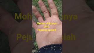 Download Lagu mohon dukunya bolo#pejuangrupiah #pejuangngaret#pejuangburuh MP3