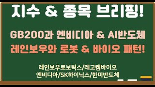 GB200 공개에도 엔비디아 주가둔화된 이유와 AI반도체!  레인보우가 이끈 로봇과 바이오 유효 패턴 분석!…