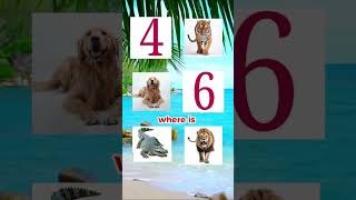 Test Your Memory With This Animal Challenge! screenshot 5