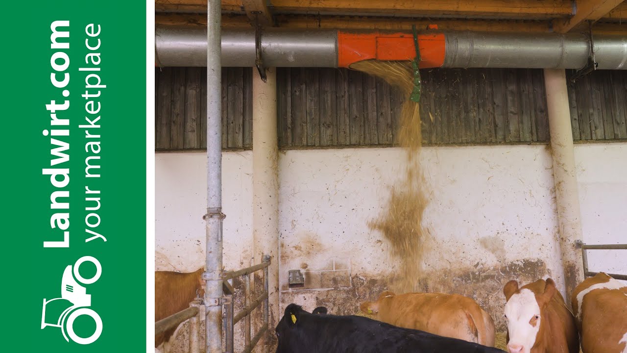 Aus Altteilen eigene Einstreutechnik gebaut! | landwirt.com