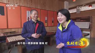 《生财有道》 20230328 雅安藏茶：从茶文化到茶经济| 财经风云