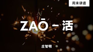 庄智明: ZAŌ  活