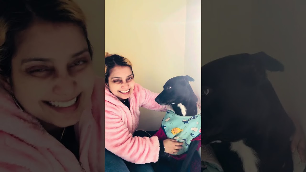 Ежедневная арендная плата | Много поцелуев #жизньмамысобаки #собачьишалости #собачьялюбовь #собач...