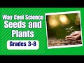 Exploring the World of Plants