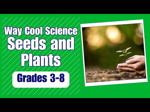 種子と植物-学習ビデオチャンネルのより多くの方法クールな科学