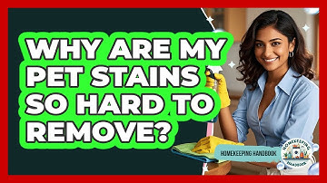 Why Are My Pet Stains So Hard To Remove? - Homekeeping Handbook